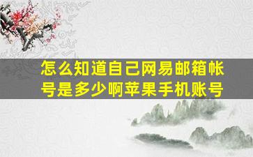 怎么知道自己网易邮箱帐号是多少啊苹果手机账号