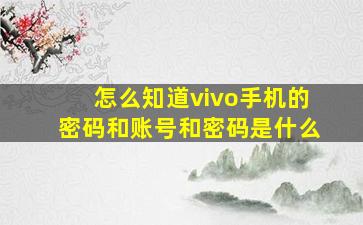 怎么知道vivo手机的密码和账号和密码是什么