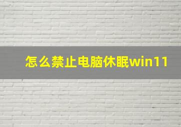 怎么禁止电脑休眠win11