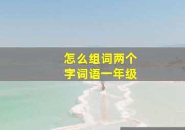 怎么组词两个字词语一年级