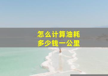 怎么计算油耗多少钱一公里