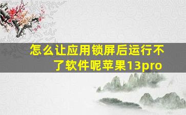 怎么让应用锁屏后运行不了软件呢苹果13pro