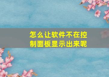 怎么让软件不在控制面板显示出来呢