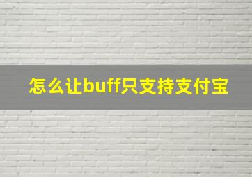 怎么让buff只支持支付宝