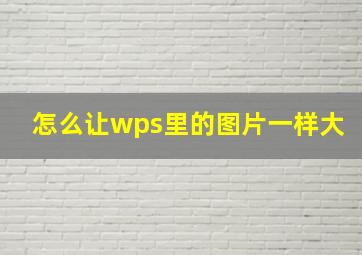 怎么让wps里的图片一样大