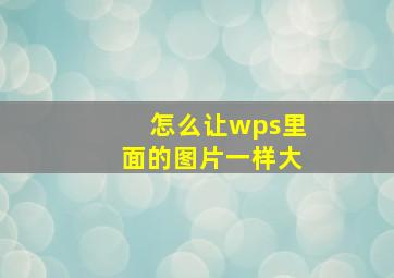 怎么让wps里面的图片一样大