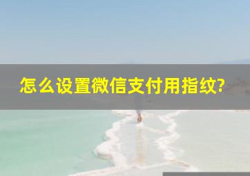 怎么设置微信支付用指纹?