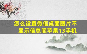 怎么设置微信桌面图片不显示信息呢苹果13手机