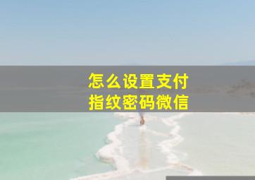 怎么设置支付指纹密码微信