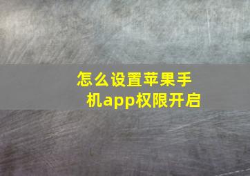 怎么设置苹果手机app权限开启