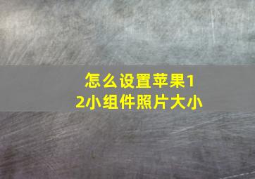 怎么设置苹果12小组件照片大小