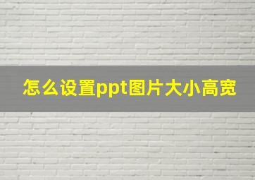 怎么设置ppt图片大小高宽