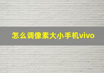 怎么调像素大小手机vivo