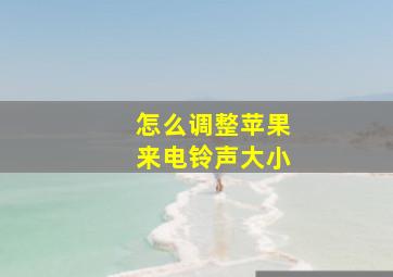 怎么调整苹果来电铃声大小