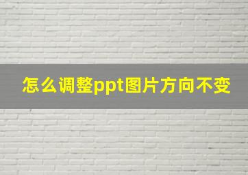 怎么调整ppt图片方向不变