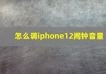 怎么调iphone12闹钟音量