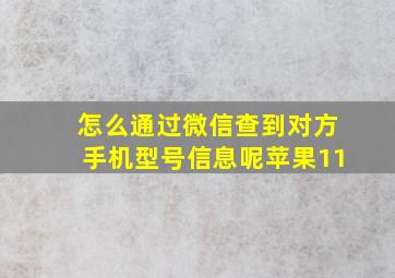 怎么通过微信查到对方手机型号信息呢苹果11