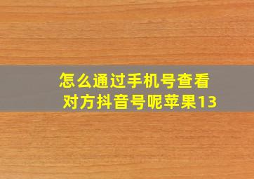 怎么通过手机号查看对方抖音号呢苹果13