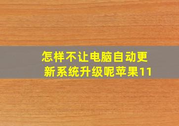 怎样不让电脑自动更新系统升级呢苹果11