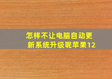 怎样不让电脑自动更新系统升级呢苹果12