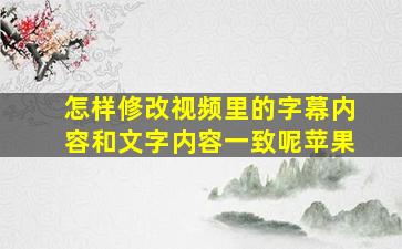 怎样修改视频里的字幕内容和文字内容一致呢苹果