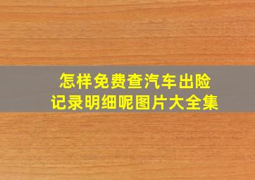 怎样免费查汽车出险记录明细呢图片大全集