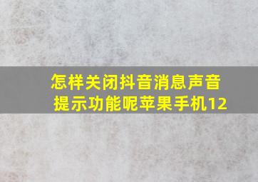 怎样关闭抖音消息声音提示功能呢苹果手机12