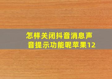 怎样关闭抖音消息声音提示功能呢苹果12