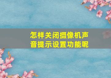 怎样关闭摄像机声音提示设置功能呢