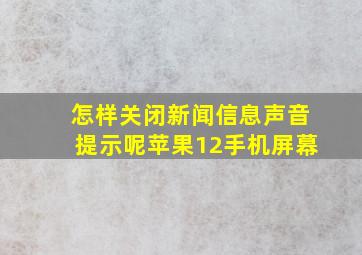 怎样关闭新闻信息声音提示呢苹果12手机屏幕