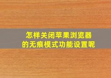 怎样关闭苹果浏览器的无痕模式功能设置呢