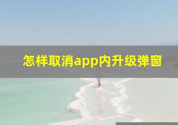 怎样取消app内升级弹窗