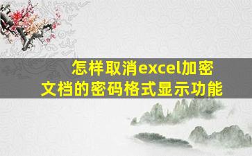 怎样取消excel加密文档的密码格式显示功能