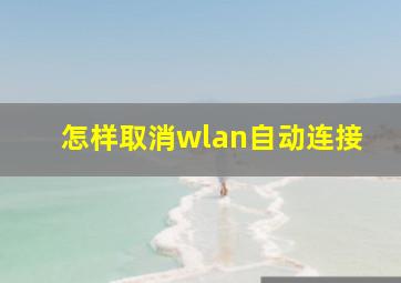 怎样取消wlan自动连接