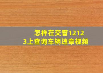 怎样在交管12123上查询车辆违章视频