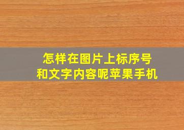 怎样在图片上标序号和文字内容呢苹果手机