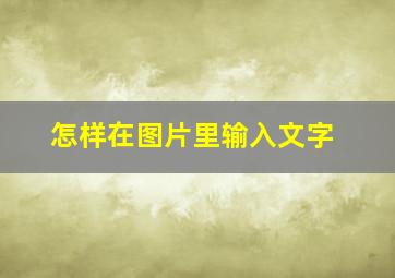 怎样在图片里输入文字