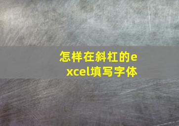 怎样在斜杠的excel填写字体