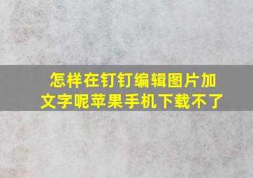 怎样在钉钉编辑图片加文字呢苹果手机下载不了