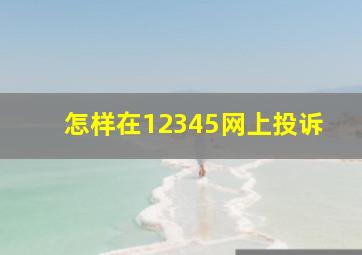 怎样在12345网上投诉