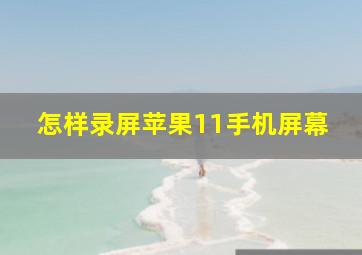 怎样录屏苹果11手机屏幕