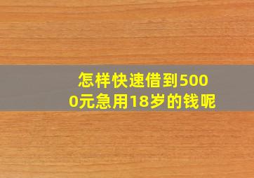 怎样快速借到5000元急用18岁的钱呢