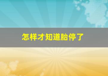 怎样才知道胎停了