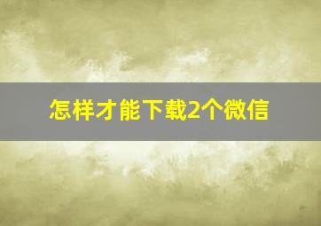 怎样才能下载2个微信