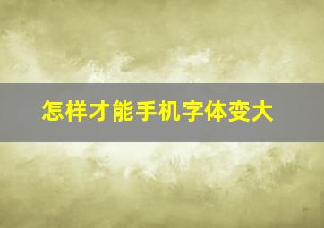 怎样才能手机字体变大