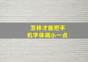 怎样才能把手机字体调小一点