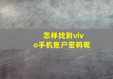 怎样找到vivo手机账户密码呢