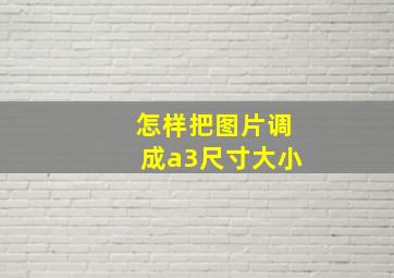 怎样把图片调成a3尺寸大小