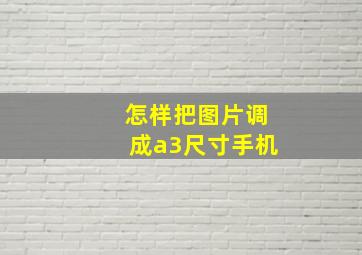 怎样把图片调成a3尺寸手机