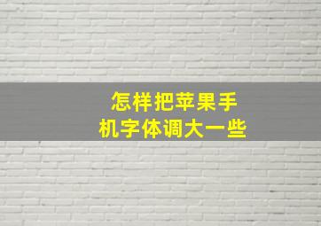 怎样把苹果手机字体调大一些